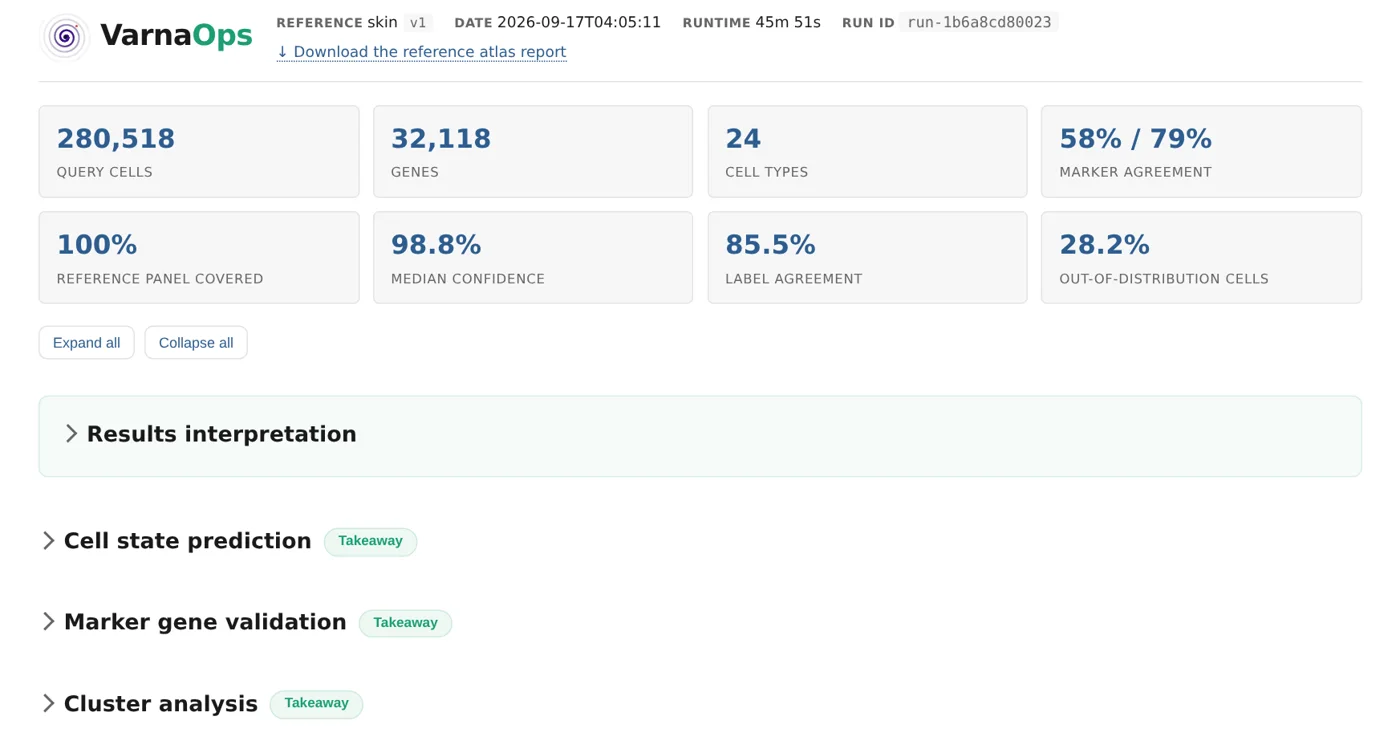 Top of the sample report: 280,518 query cells, 32,118 genes, 24 cell types, 98.8% median confidence, followed by the report's sections.